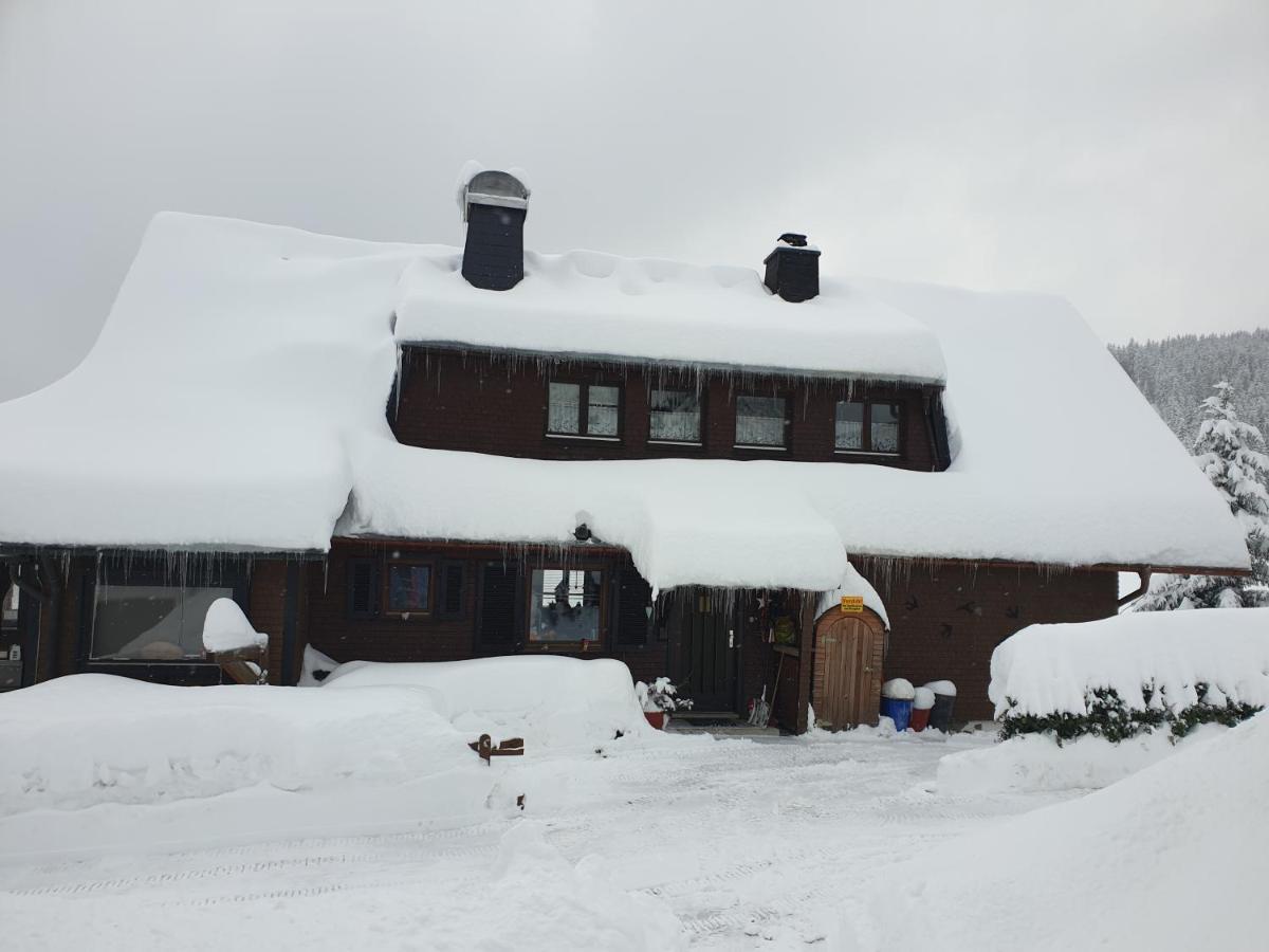 Am Sommerberg - Greschuk Apartments Feldberg  Eksteriør bilde
