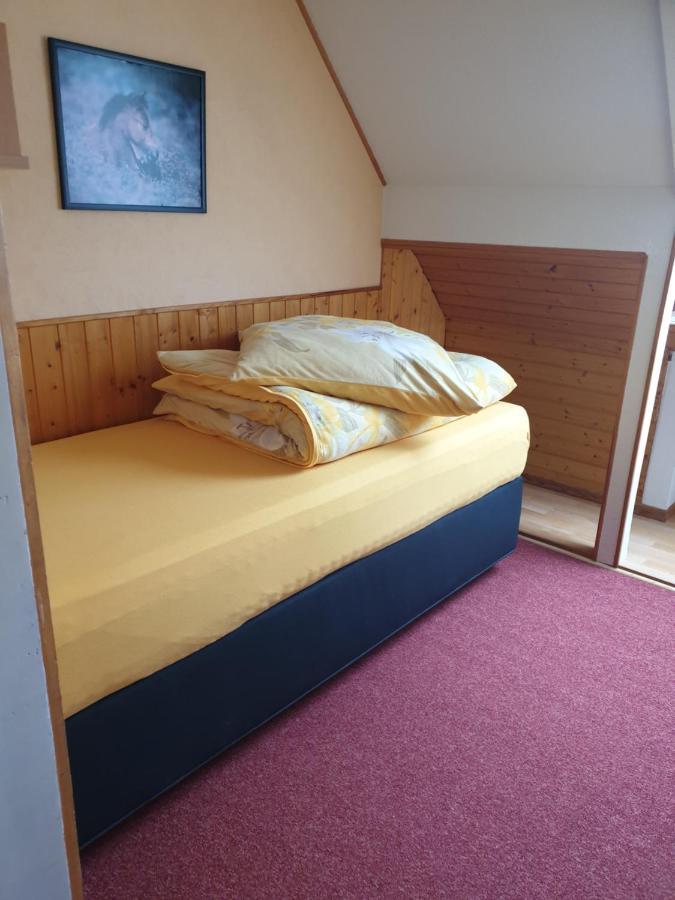 Am Sommerberg - Greschuk Apartments Feldberg  Eksteriør bilde