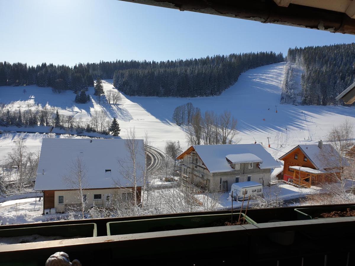 Am Sommerberg - Greschuk Apartments Feldberg  Eksteriør bilde