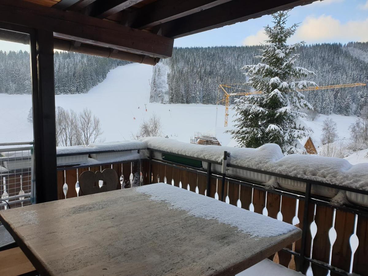 Am Sommerberg - Greschuk Apartments Feldberg  Eksteriør bilde