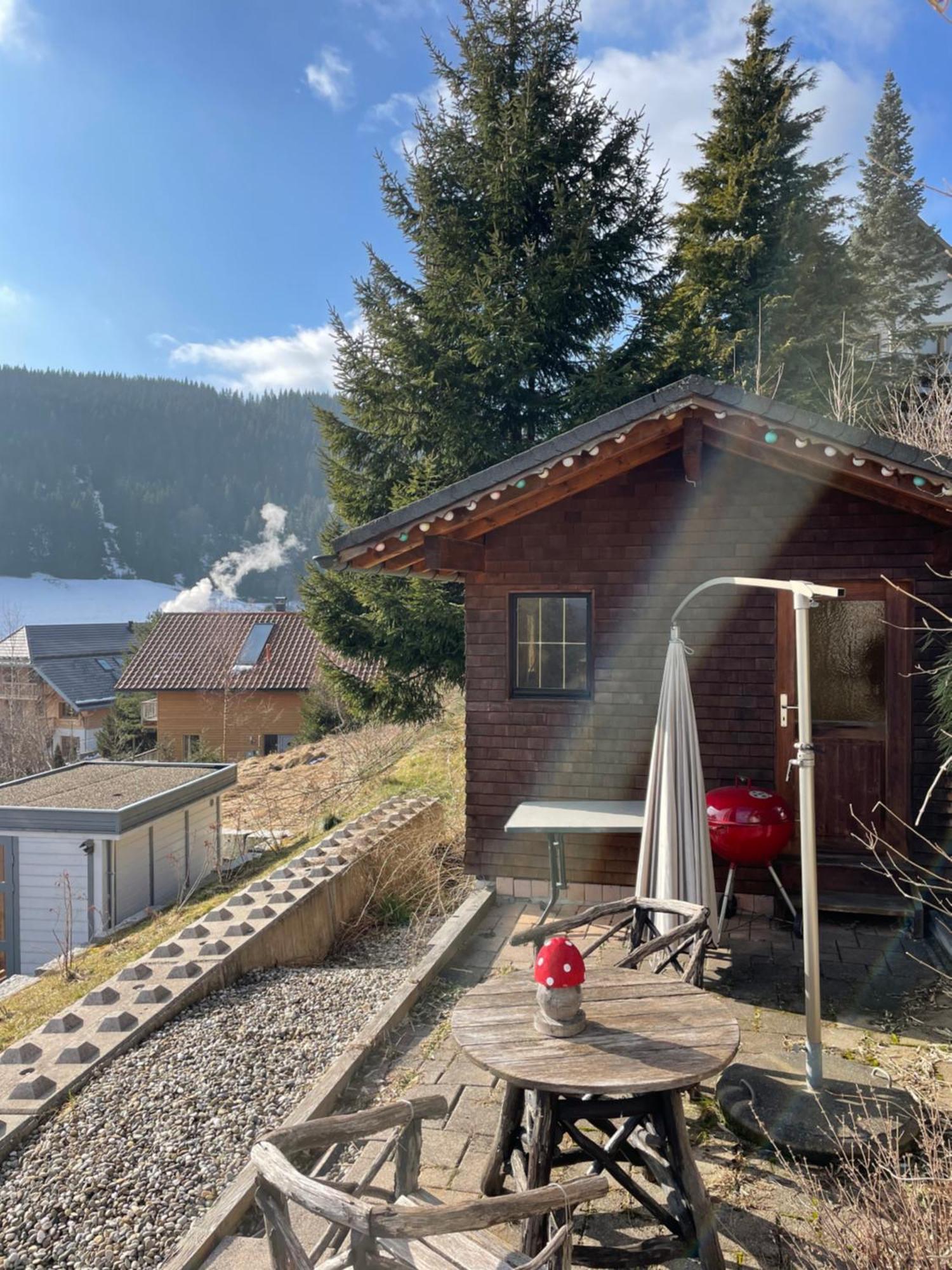 Am Sommerberg - Greschuk Apartments Feldberg  Eksteriør bilde
